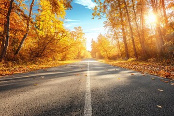 Fototapeta premium Scenic autumn road with vibrant fall foliage and sunlight streaming through trees, perfect for travel and nature themed projects.