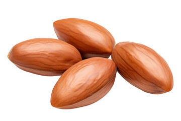 Argan seeds isolated on a transparent background.