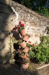 pots de géraniums