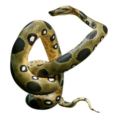 Naklejka premium 3D Rendering Green Anaconda on White