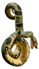 Naklejka premium 3D Rendering Green Anaconda on White
