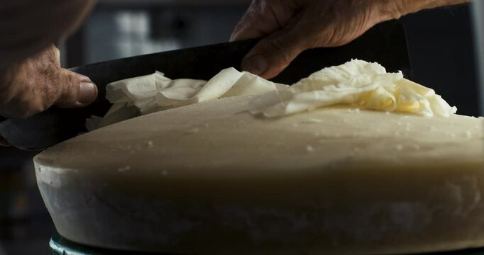 Super slow motion close up italian cheesemaker control seasoning quality of traditional parmesan cheese with steel knife at dairy dairy factory.