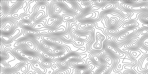 Fototapeta premium Abstract Topographic Map in Contour Line Light stripes on a white background Geographic Abstract Grid. Line Topography Map Contour Background illustrations of maps.