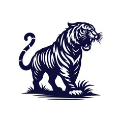 tiger on white background