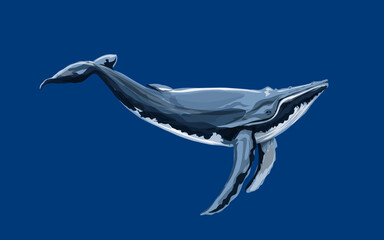 a blue whale in the blue sea