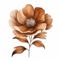 Fototapeta premium A flower with brown petals and a brown stem
