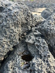 제주스러움을 가장 잘 드러내는 현무암