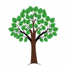 Obraz premium A tree vector illustration
