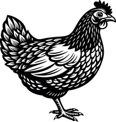 hen silhouette illustration Design on a white background