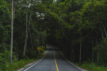 Fototapeta premium Road way to nature in national park, exploration, journey or adventure in rainforest, Asphalt road in natural area, environmental inspiration green background, concept of Earth day, travel destination