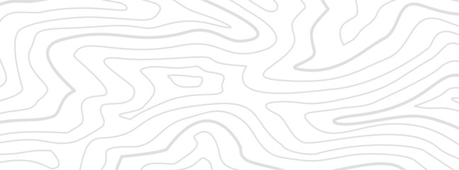 Topographic contour background. Contour lines backdrop. Background of a topographic map. Abstract wavy backdrop. Contour map background.