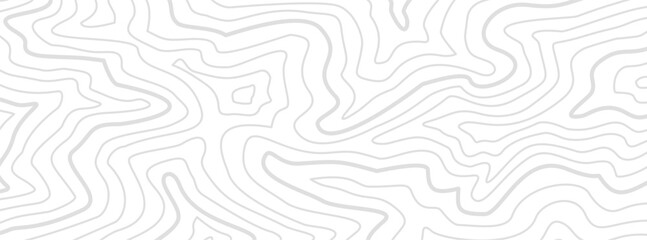 Fototapeta premium Topographic contour background. Contour lines backdrop. Background of a topographic map. Abstract wavy backdrop. Contour map background.