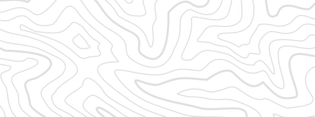 Fototapeta premium Topographic contour background. Contour lines backdrop. Background of a topographic map. Abstract wavy backdrop. Contour map background.