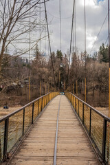 Obraz premium Landscapes - Forest - Europe, Romania, Suceava region