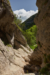 Dried up river bed