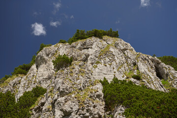 Mountains ridge in the summer