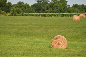 Hay Bale in a Farm Field
