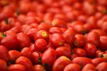 Cherry Tomatoes Farmer's Market Tomato Bulk