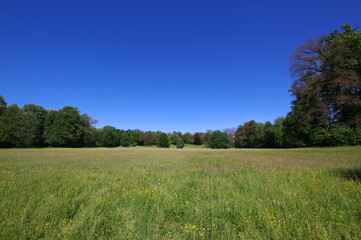 Obraz premium Mużaków, Bad Muskau 
