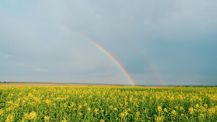 Double Rainbow Graces Sky Creating Breathtaking Scene. Multicolored Rainbow Over A Floral Green Field.