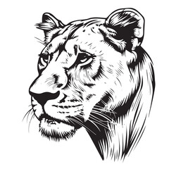 Lioness portrait hand drawn sketch illustration, Wild animals © BigJoy