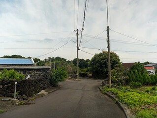 the scenery of a country village with green summer
