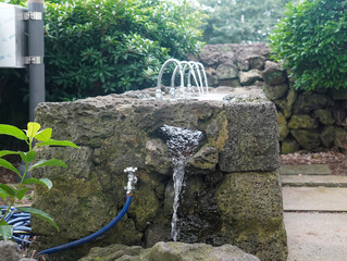fountain in garden