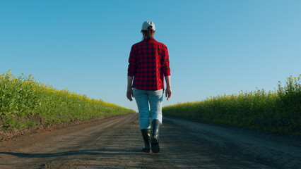 Fototapeta premium Farmer Wearing In Rubber Boots Walking Through Young Yellow Green Rapeseed Plants In Cultivated Field. Farmer Walks Across Field. Illustration Of Agrarian Life In Motion.