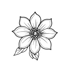 isolated on white background. Flower simple Vector illustration.