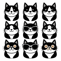 set of  funny cats