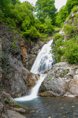 waterfall in the forest