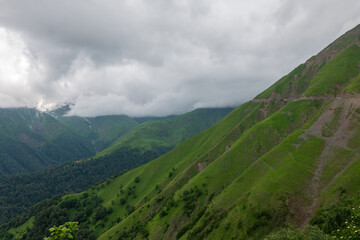 green valley in the mountains