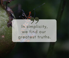 In simplicity we find our greatest truths