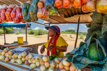 african woman vegetable street vendor, self employed working at her street stall selling fresh produce
