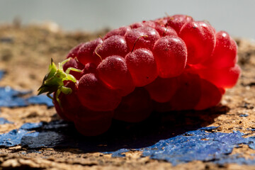 Front view of a tiny twin spotted jagged ambush bug nymph on a ripe, red raspberry. 
