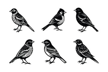 set of bird Black Silhouette Bundle - Stunning Vector Illustrations for Wild or domestic animals Nature Lovers, isolated on white