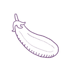 Eggplant Isolated hand drawn doodle style vegetable.