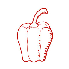 Pepper Isolated hand drawn doodle style vegetable.