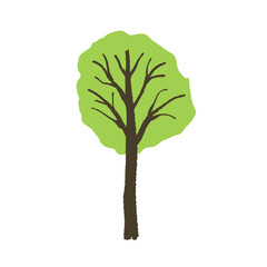 Green summer or spring tree doodle. Transparent isolated PNG.