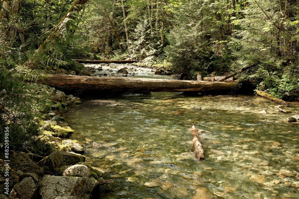 Sticker water flows downstream in canada national parks