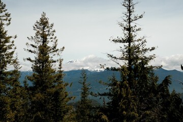 Naklejka premium Snow capped peaks in Rocky Mountains, British Columbia, Canada