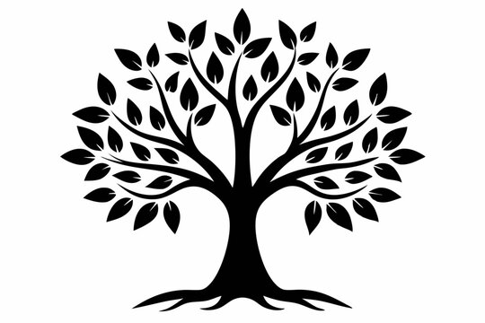 black tree of life tree branch vector illustration 