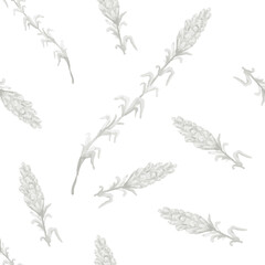 Lavender flowers fields plants fragrant herbs nature butterfly insects purple bloom summer botany