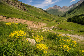 ubaye valley