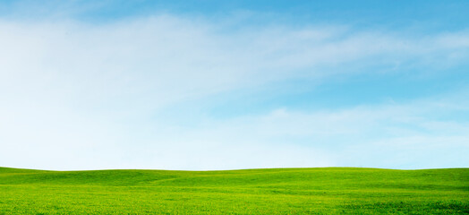 Wiese und Himmel am Horizont