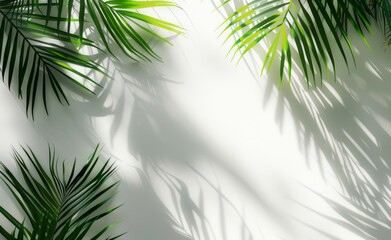 Over a grey table, tropical leaves cast shadows on a white background