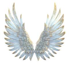 Fototapeta premium angel wings isolated on transparent background