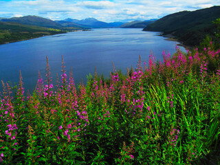 SCOTLAND, HIGHLANDS : Scottish Highlands, Druim Sgurr nan Cabar Loch Duich near Shiel Bridge, Great Britain, Europe