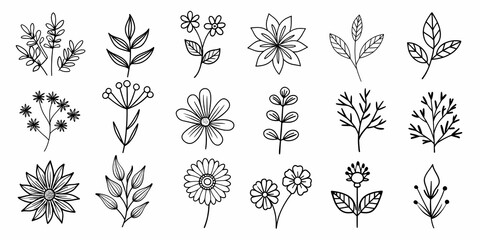 Beautiful floral element collection with various botanical and leaf designs