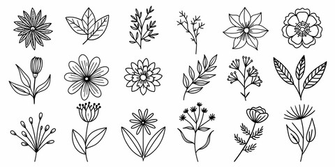 Beautiful floral element collection with various botanical and leaf designs